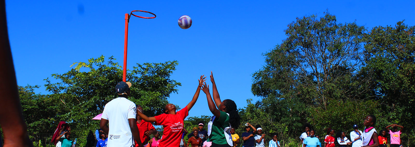 A vibrant sports culture